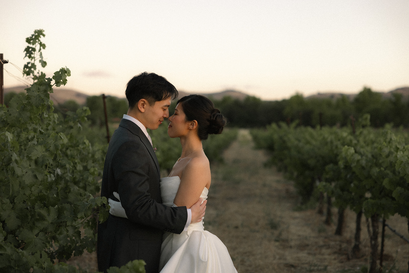 Bride and groom embrace between vineyard rows at sunset during portraits at casa real at ruby hill winery, captured by a bay area wedding photographer.