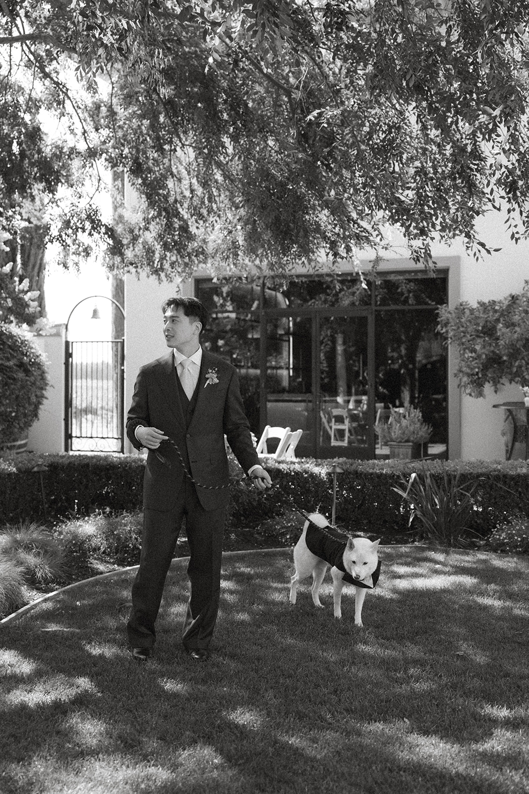Groom walking his dog before the ceremony on the grounds of casa real at ruby hill winery, captured in candid casa real at ruby hill winery photos.