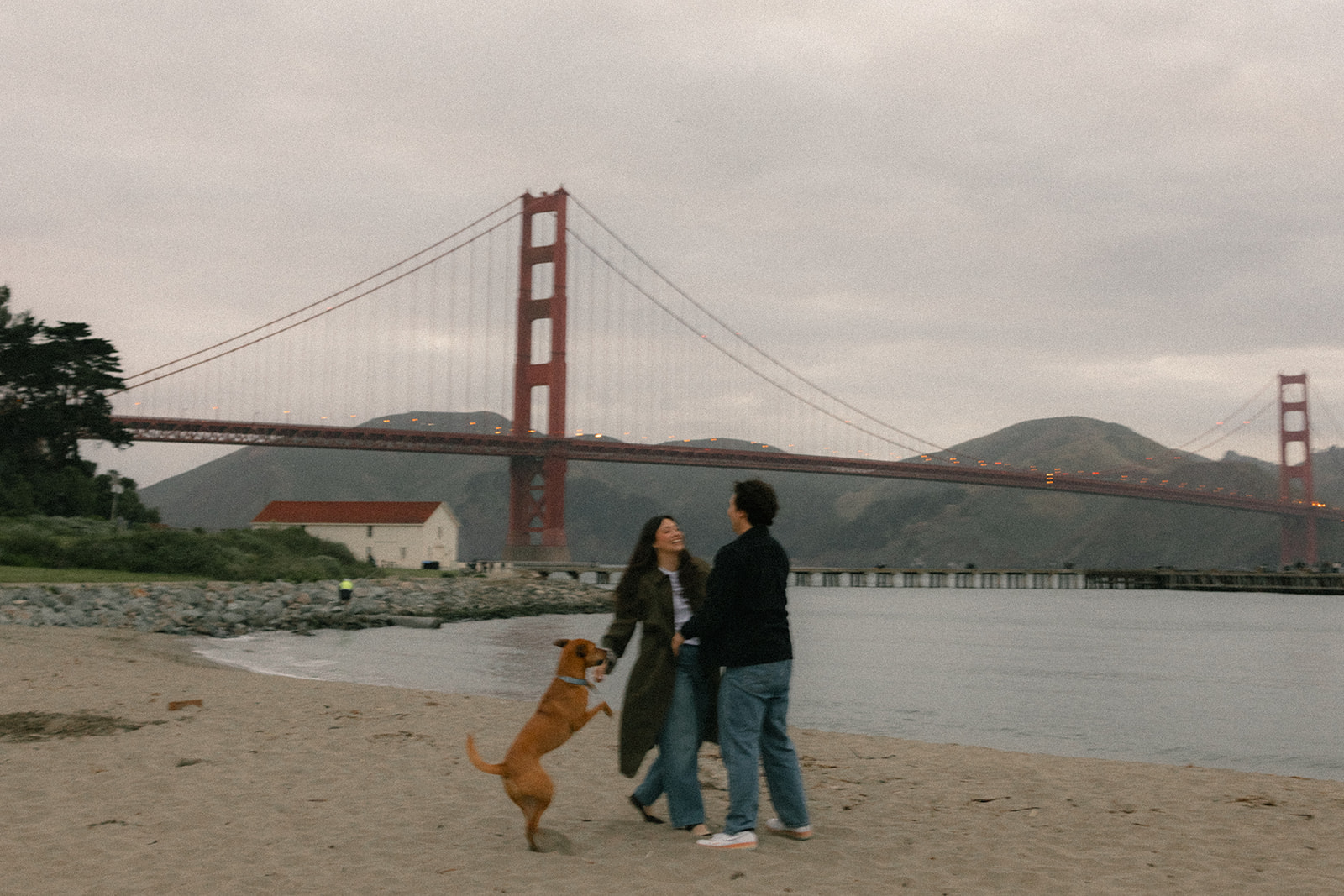 Couple dancing on the beach with their dog jumping beside them, framed by the Golden Gate Bridge and calm evening waterfront.