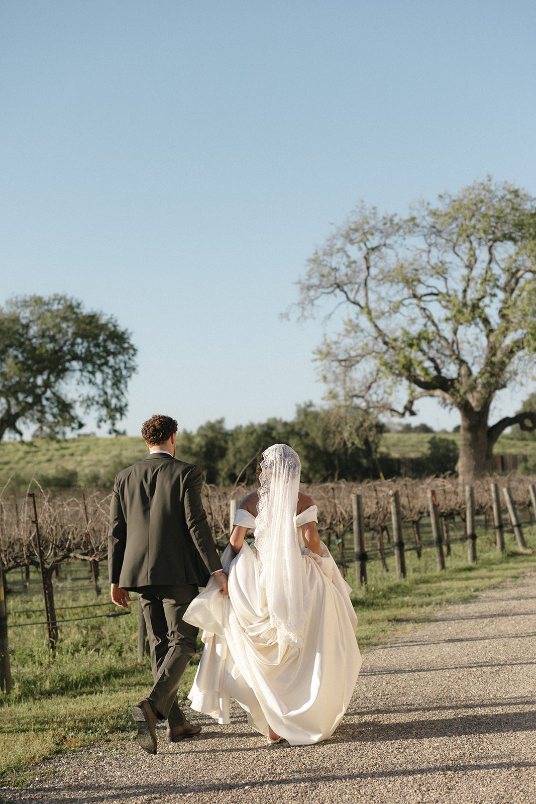 Newlyweds walking hand in hand along a gravel path beside the vines at a Santa Ynez wedding venue, with the bride's lace veil and full wedding gown trailing behind her.