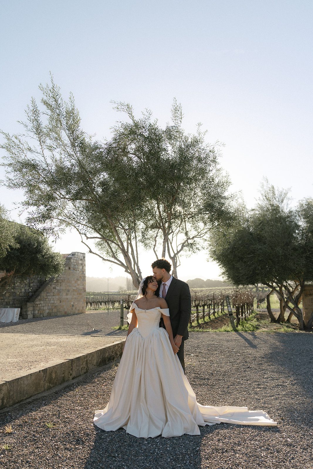 Full-length wedding portrait of newlyweds standing beneath olive trees at their vineyard wedding, with the bride's voluminous ivory gown spread across the gravel pathway.