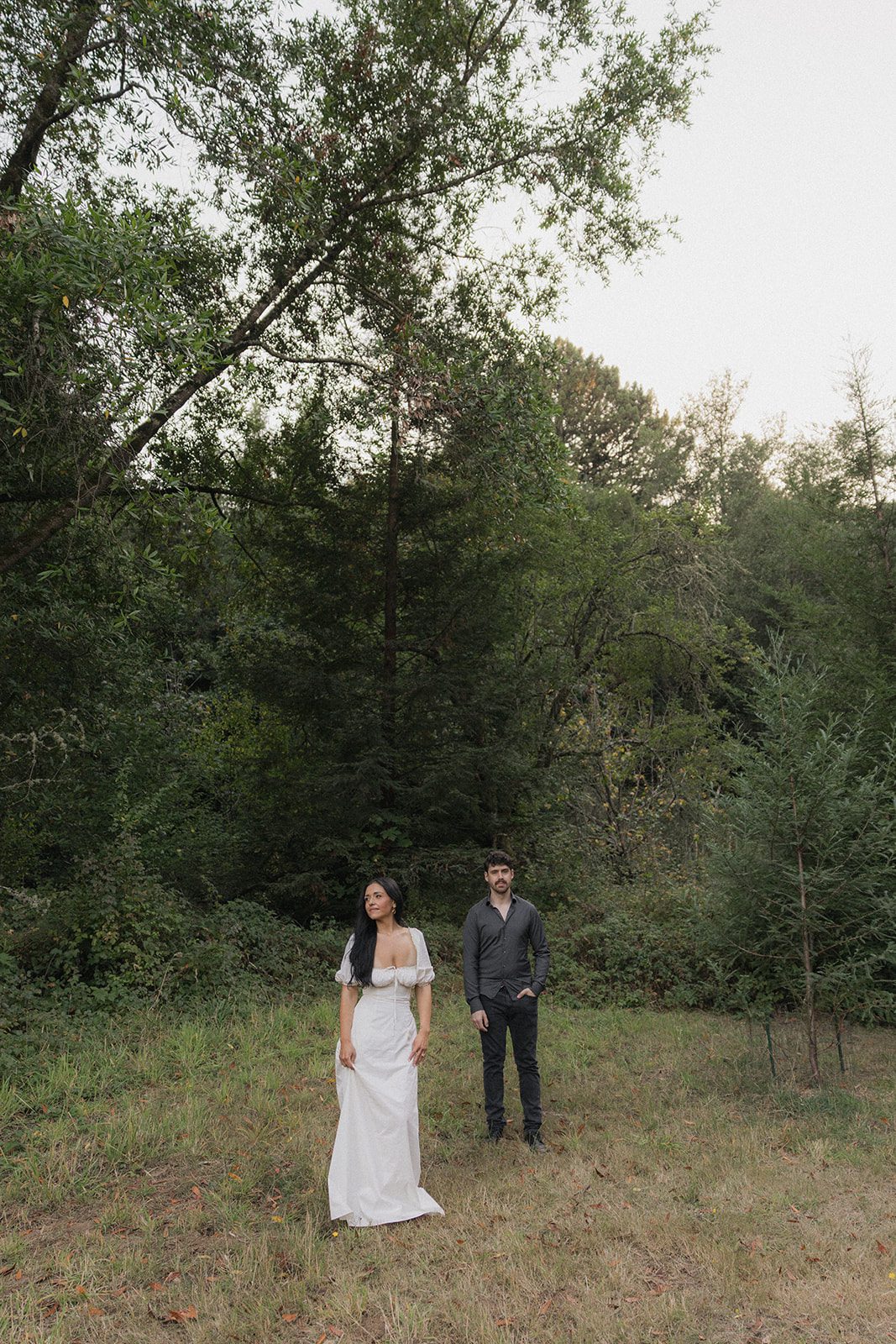 Engaged couple standing apart in a grassy clearing surrounded by towering trees during Northern California engagement photos.