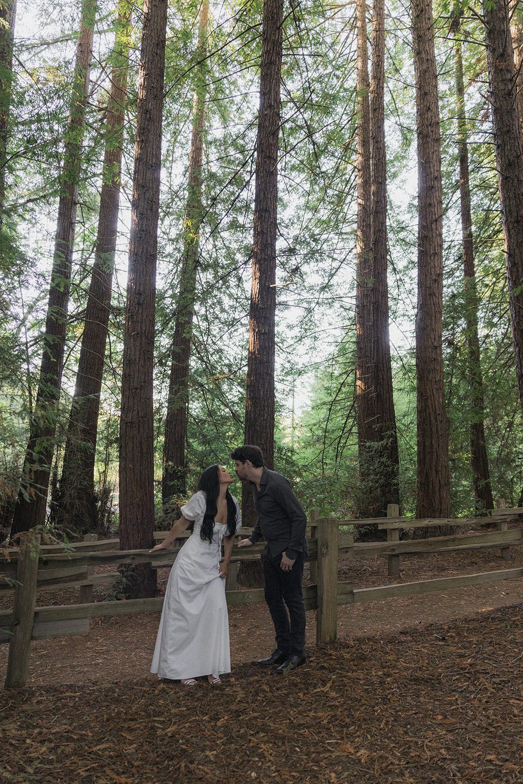Couple sharing a kiss beneath towering redwood trees during Reinhardt Redwood Regional Park Engagement Photos, showcasing one of the scenic engagement photo locations in the Bay Area.