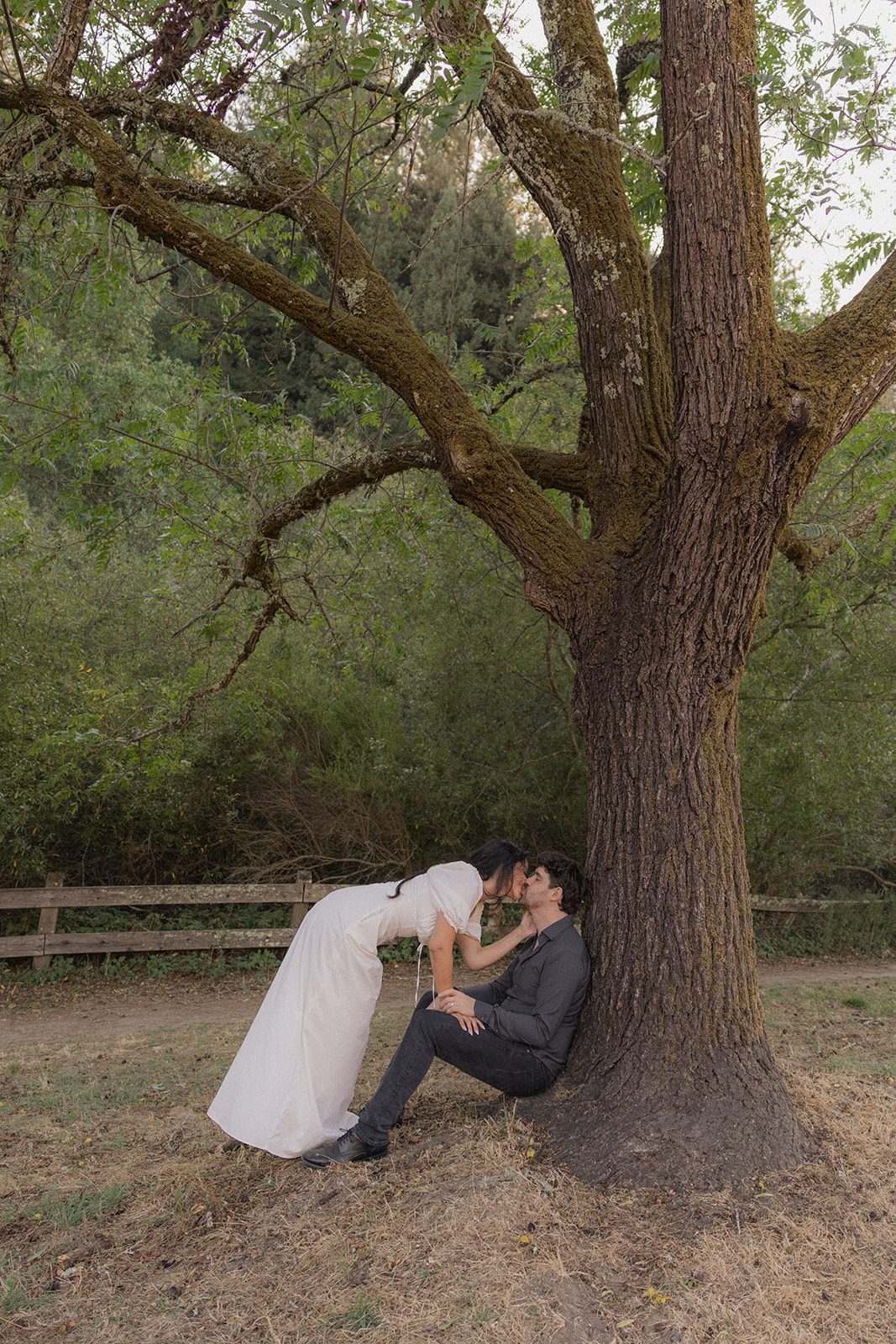 Engaged couple sharing a kiss beneath a sprawling tree, a natural setting for Northern California engagement photos.