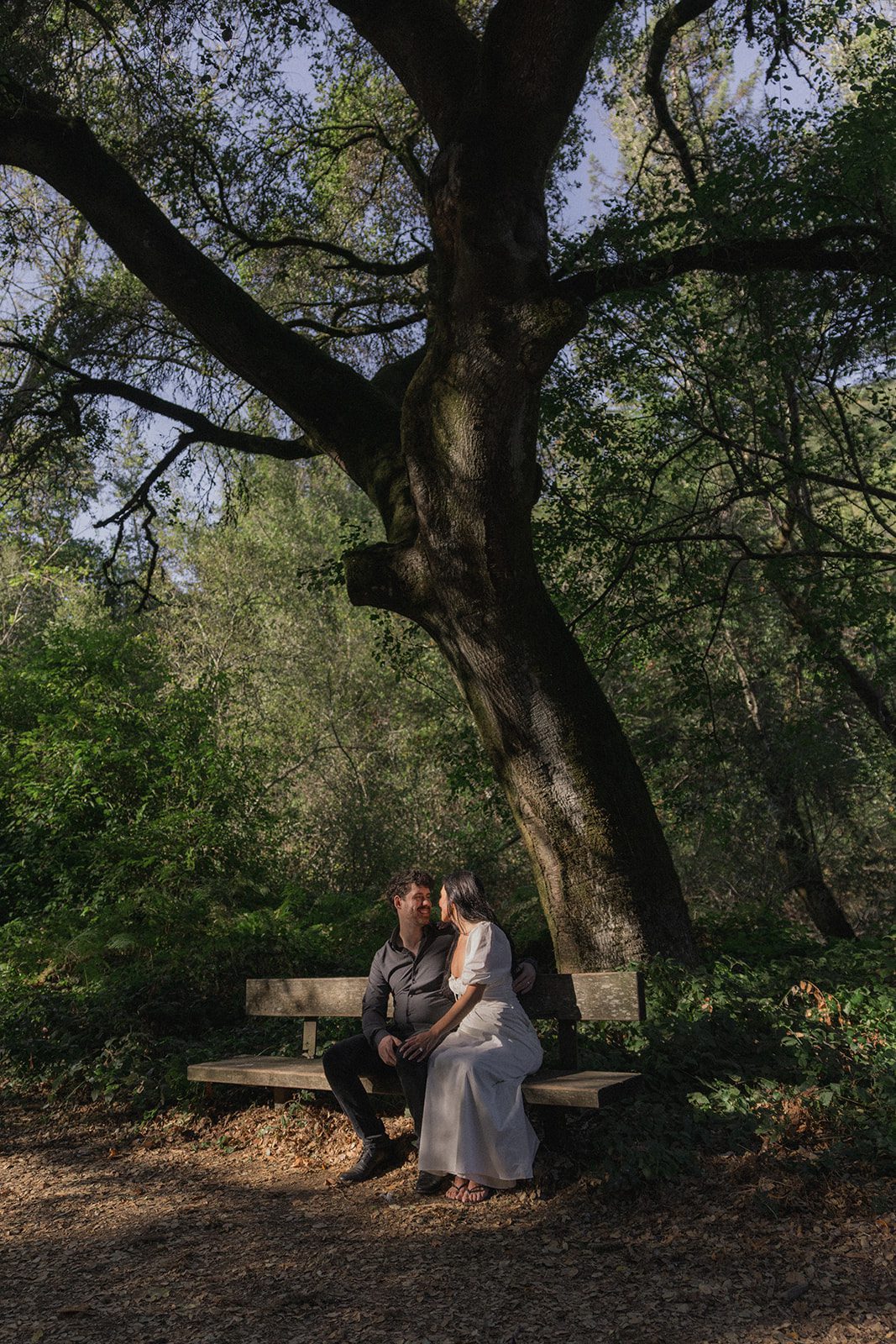 Engaged couple sitting together beneath a sprawling tree in dappled sunlight, showcasing the natural scenery of engagement photo locations in the Bay Area and Northern California engagement photos.