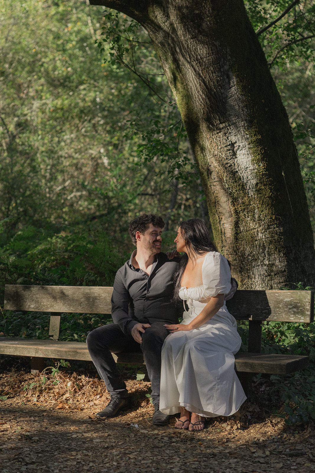 Engaged couple sitting together on a wooden bench beneath a large tree, highlighting one of the scenic engagement photo locations in the Bay Area.