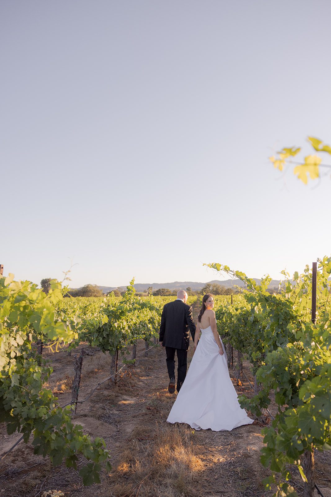 Bride in a strapless white wedding gown looks back at the camera while holding hands with the groom between vineyard rows at Villa San Juliette.